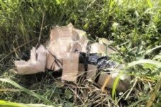 4955d0d8 8356 49fe aadc 2193f957e128