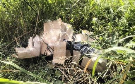 4955d0d8 8356 49fe aadc 2193f957e128