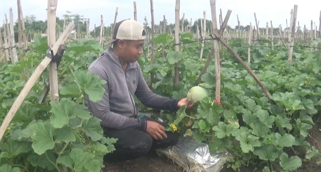 5b8bcac0 6f1e 4d12 b137 f7edcef60f06