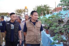 Bupati melihat Bonsai yang di pajang