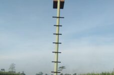 Pagupon rumah burung hantu di area persawahan. (Foto: Istimewa)