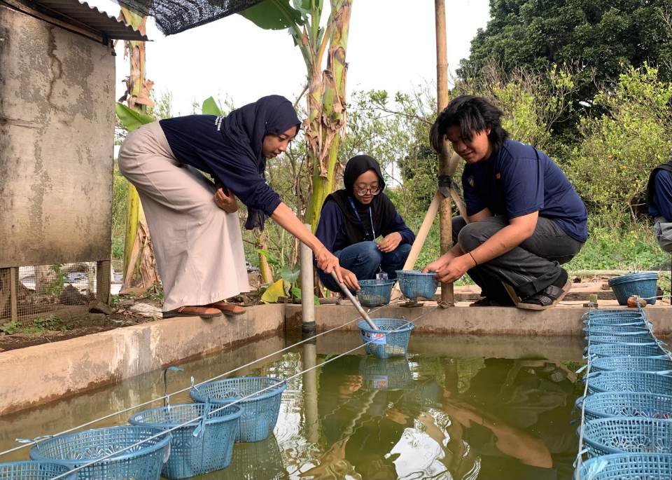 Mahasiswa Memanfaatkan Kolam Lele Menjadi Lahan Pertanian Aquaponik