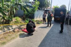 Tim jibom gegana Polda Jatim tengah mengevakuasi sebuah granat yang ditemukan warga di Sidoarjo. (Foto : Istimewa)