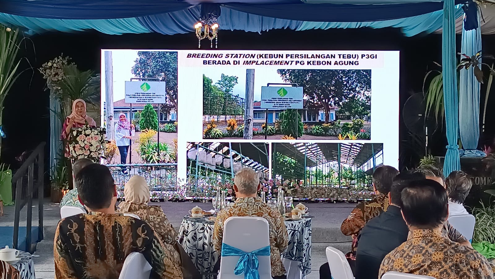 Prosesi peluncuran tebu varietas unggul yang digelar PG Kebonagung di lahan pengembangan tanaman tebu di Desa Sempalwadak, Kecamatan Bululawang, Kabupaten Malang, Jum'at (18/7/2025), Sore.