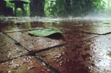 Hujan Ringan Diperkirakan Guyur Malang Raya Hari Ini