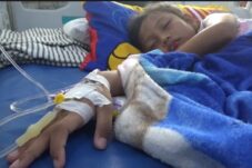 Waspada ! Demam Berdarah Mengancam Saat Cuaca Ekstrem 5 f1a23e2b 4e46 44e8 8e83 69dbab9763d9