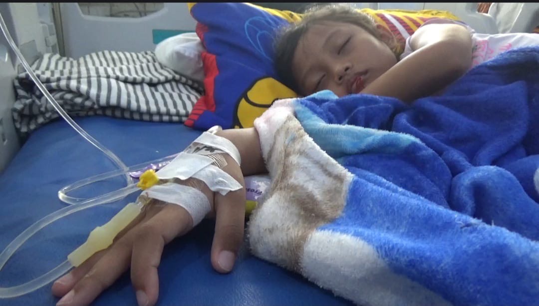 f1a23e2b 4e46 44e8 8e83 69dbab9763d9