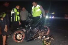 Akibat Jalan Bergelombang dan PJU Mati, Pemotor di Jombang Ini Tewas Tabrak Truk