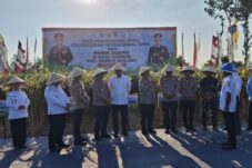 Dorong Ketahanan Pangan Nasional, Polri Panen Raya Jagung Bareng Petani Malang