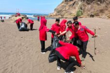 Bersih-bersih pantai yang digelar kader PDIP Jember untuk memperingati kemerdekaan Indonesia. (Adi Permana/ tagarjatim.id)