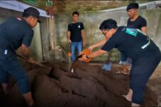 Pendampingan pembuatan pupuk organik oleh mahasiswa Universitas Brawijaya kepada petani kopi di Banyuwangi (Humas UB)