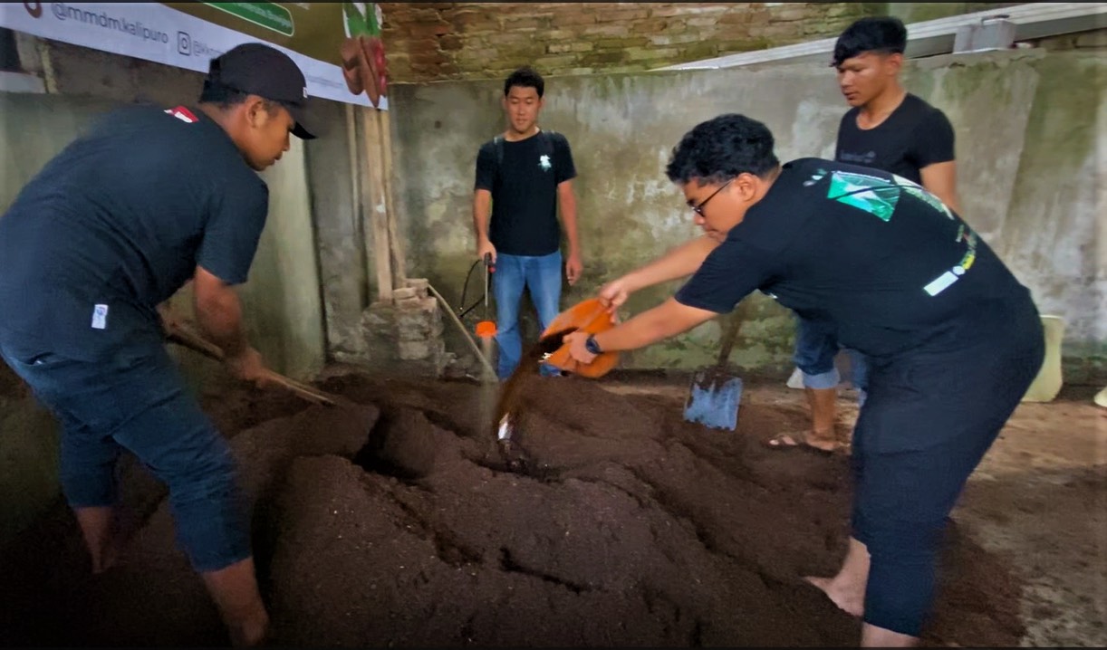 Pendampingan pembuatan pupuk organik oleh mahasiswa Universitas Brawijaya kepada petani kopi di Banyuwangi (Humas UB)