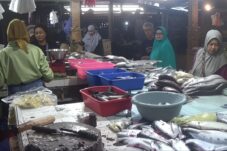 ce7f5588 b852 4fce 96c9 59cea463bb25