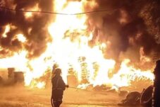 cf0df04d cdad 4185 854c cb4c6e3b0035