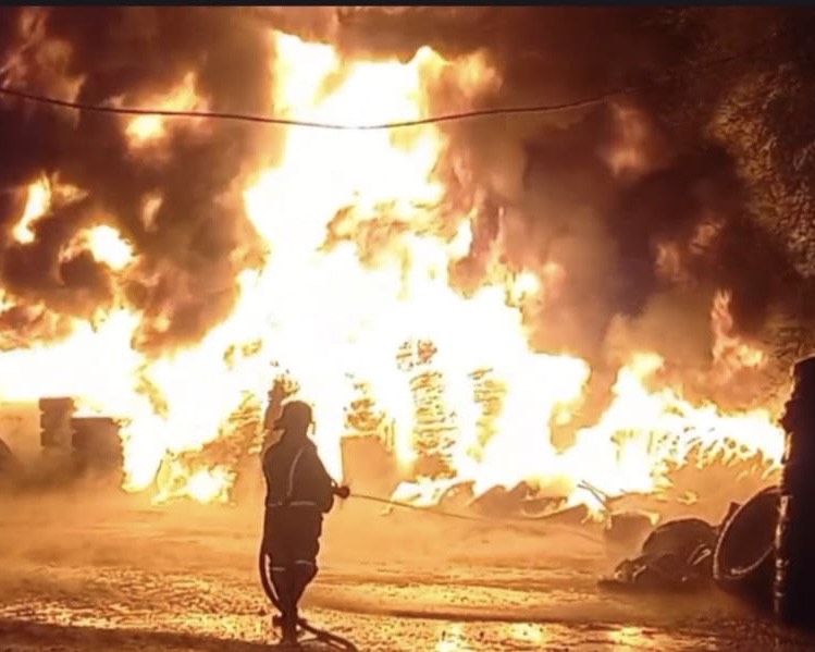 cf0df04d cdad 4185 854c cb4c6e3b0035