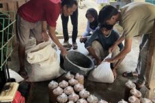 de432ea2 a120 4759 8d89 94e198116185