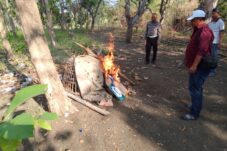 Polisi Gerebek Arena Sabung Ayam di Menganti, Puluhan Pelaku Melarikan Diri