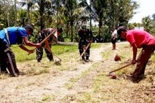 41b8d239 f8ff 47d1 915f c473a44bbac2