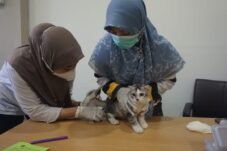 Bakantin Gelar Vaksinasi Rabies Gratis, 100 Hewan Peliharaan Divaksin