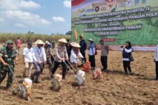Sinergi Polres dan Petani Malang Perkuat Ketahanan Pangan