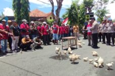 Peternak Ayam Broiler Lamongan Gelar Demo di DPRD dan Polres