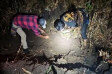 Polisi Berhasil Identifikasi Korban Mayat Terbakar di Kebun Tebu Gedangan