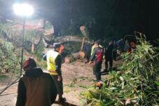 Pohon Tumbang Tutup Akses Jalan Raya Cangar, BPBD Lakukan Evakuasi