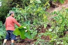 Tebing 12 Meter Longsor, Akses Jalan Desa di Magetan Terputus