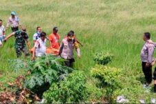 Pencari Rumput di Lamongan Ditemukan Meninggal di Persawahan