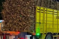 Antrean Truk Tebu RMI Memakan Korban
