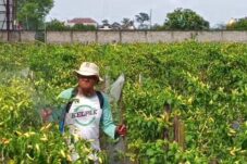 b680a8d8 0b1f 4a10 b82c a0a8f72e7052