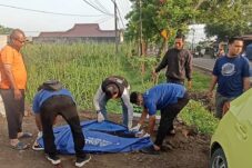 f661ab9d 23c6 420f a31e 3b6fc45630f8