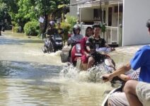 0c42d051 67d2 4be8 b4c7 d0c211745e2c