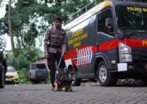 4ad38d4b bff8 4ba9 bdd1 27b56b03a015