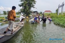 Sungai Bengawan Jero Dipenuhi Eceng Gondok, Transportasi Warga Kalitengah Lumpuh