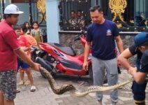 80249827 d461 4341 b233 de5f9a5ee326