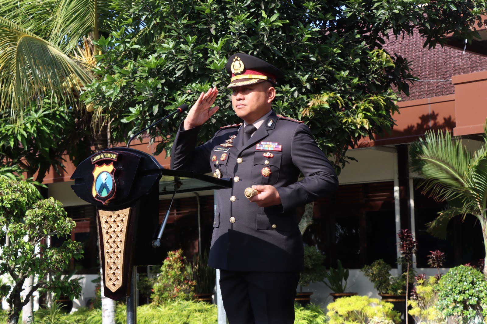 a6fdad0b e2b5 4dd7 a324 d81c455e433a