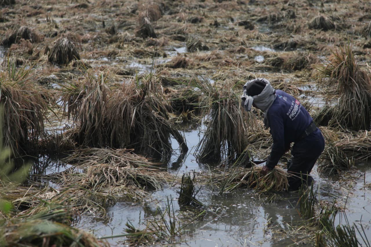 be3707b0 97a7 45af b8b2 23560bf12ce0