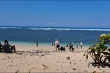 bf06944a 97d3 429d bcd5 5730540ee929