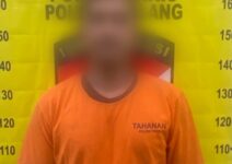 d27d30ca 7388 4443 b8bb 3347f6c862a6