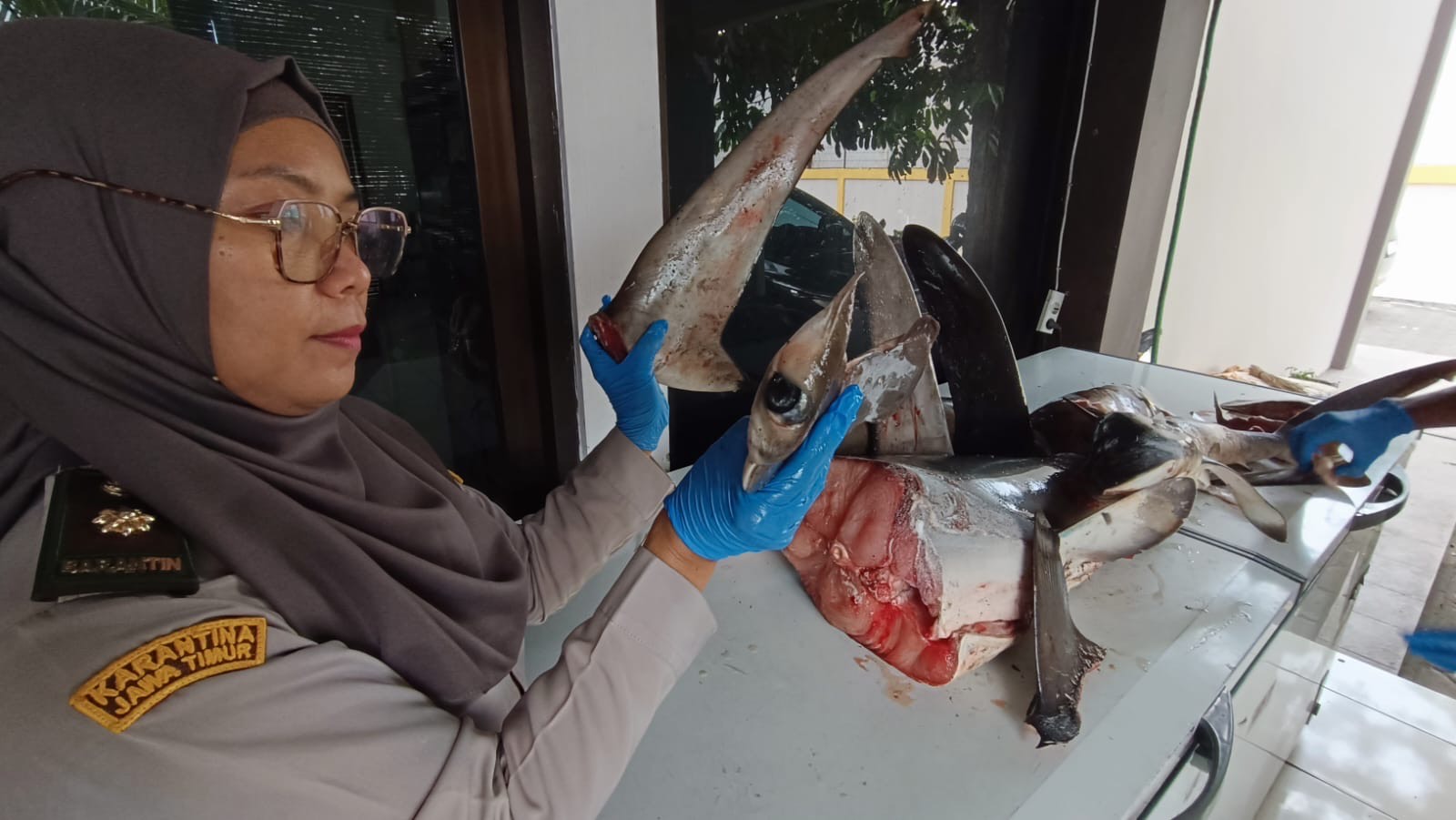 da336003 5d74 4b3e b979 0a751a084f94