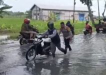 08df1129 613c 4bb9 ae87 b9d4110a0af6