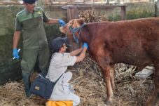 09429eec c7b6 47cf 8cc7 3e299c23dff4