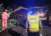 0b9cda75 4e5f 4369 a739 405fcd89e5cc