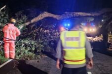 0b9cda75 4e5f 4369 a739 405fcd89e5cc