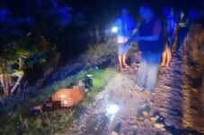 0f0bba53 d59a 47f2 9820 96047988f64f