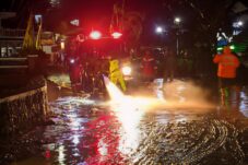 13de6650 e643 445b 9249 f0d29d339fe6