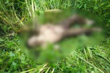 1a993ffb 6fea 47e8 9335 5c37e1576706