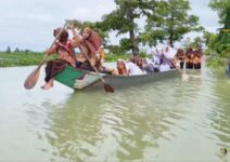 47603967 3558 47e7 ab19 2619029495eb