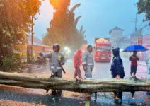 Hujan Deras, Pohon Tumbang dan Banjir Ganggu Aktivitas Warga Lamongan